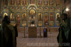 Богослужения Лазаревой субботы и Вербного воскресенья, 27-28.04.2013г.