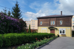 Ирисы: начало парада, 19.05.2026г.