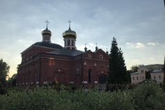 Летние картинки, 14.06.2026г.