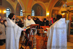 Святое Богоявление. Праздник в монастыре, 19.01.2015г.