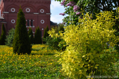 В праздничный день, 25.05.2023г.