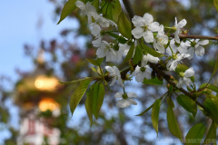 В преддверии праздника, 28.04.2024г.