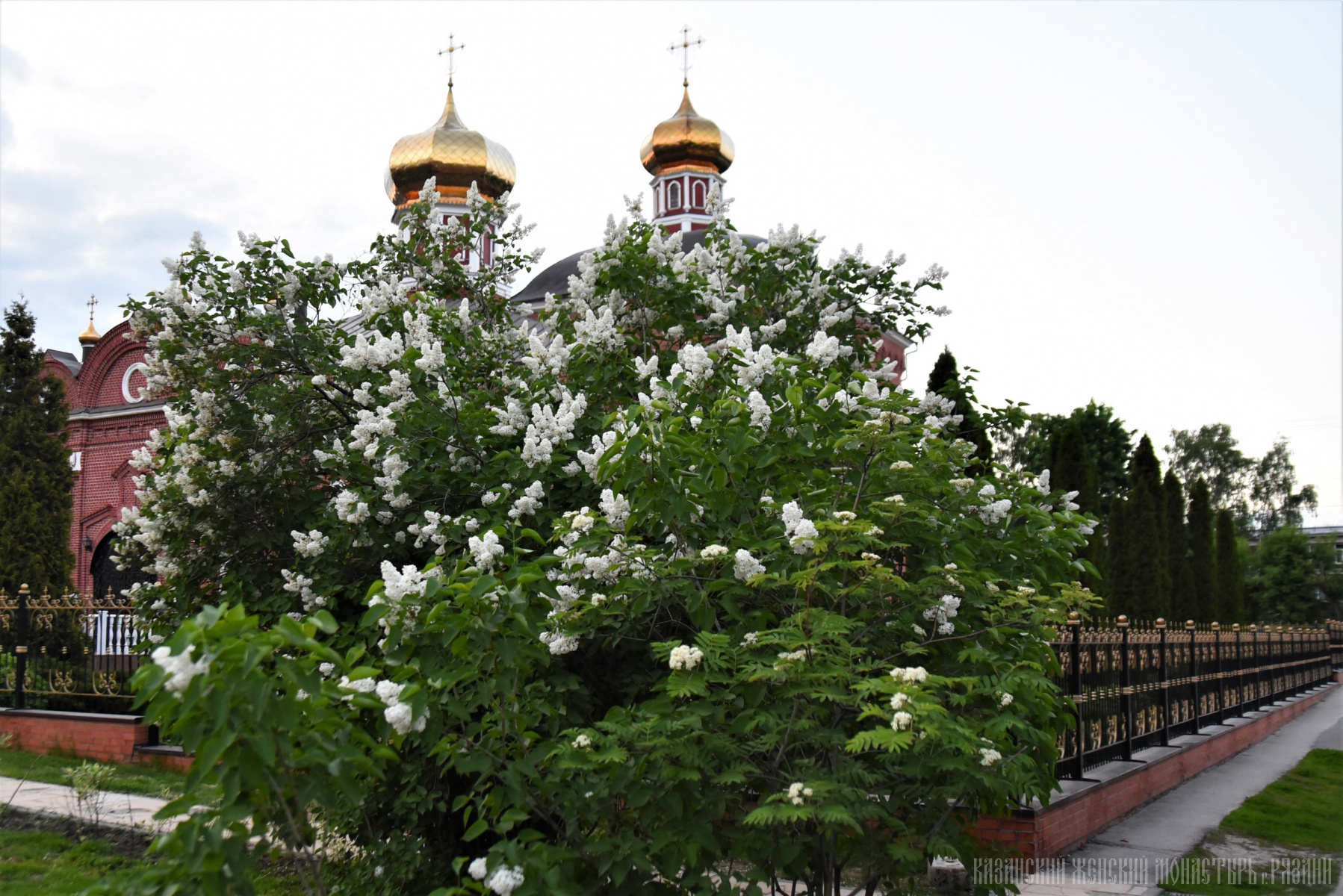 Казанский женский монастырь рязань