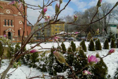 Вербное воскресенье. После ночного снегопада, 12.04.2020г.